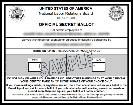 Smaple ballot
